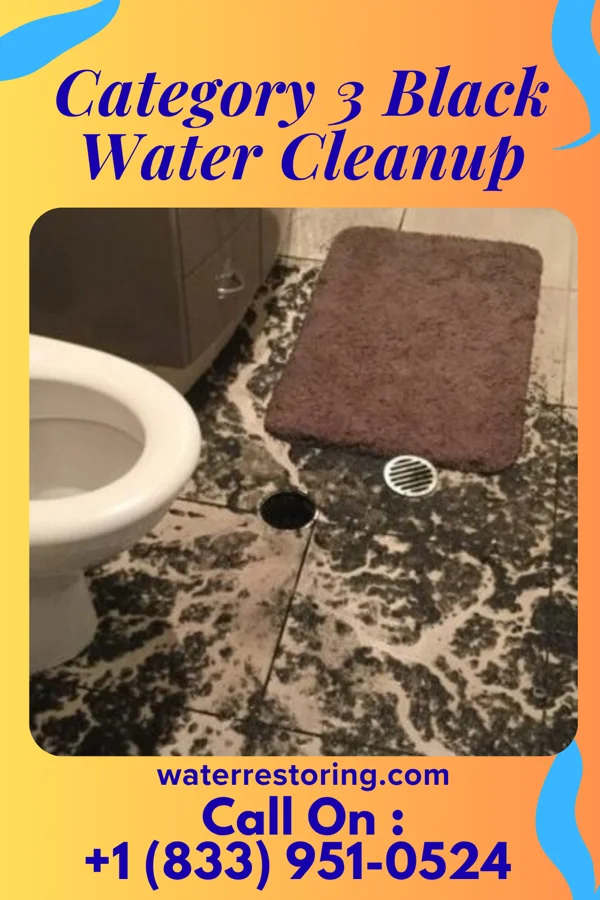 Category 3 Black Water Cleanup in Norwood, KY