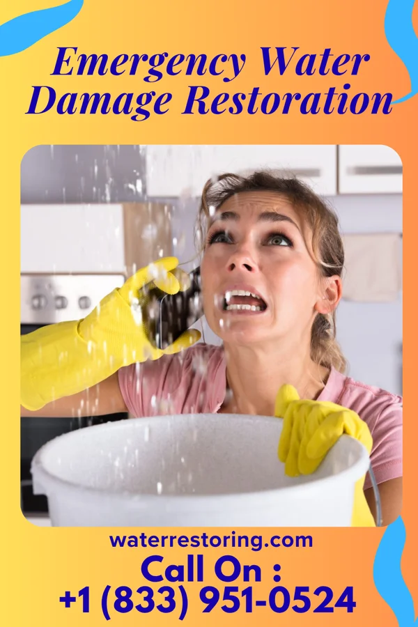 Emergency Water Damage Restoration in Norwood, KY